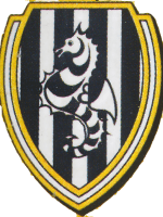 Rosa Cesena stagione 1988-1989